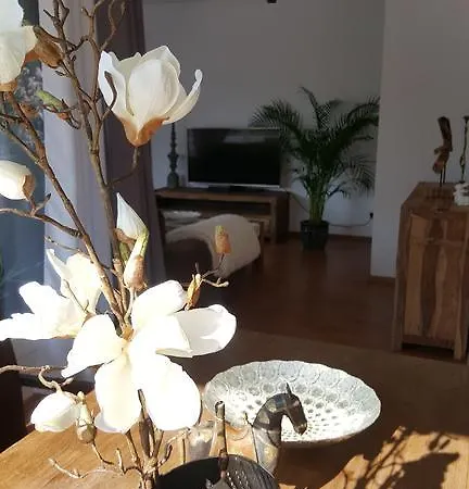 Apartment Apartamento Flensburg