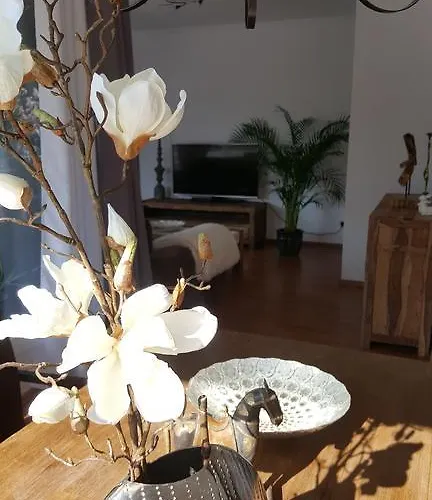 Apartment شقة فلنسبورغ